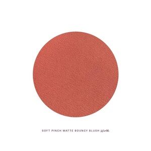 Soft Pinch Matte Bouncy Blush